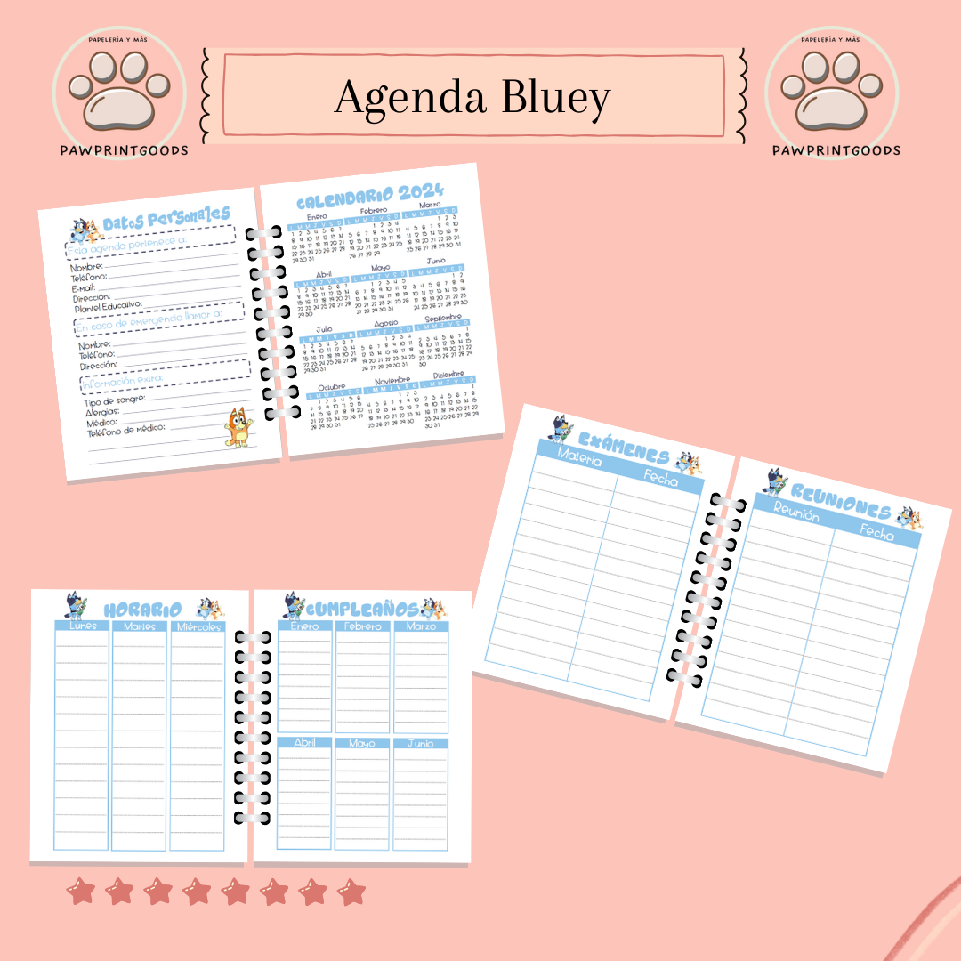 Agenda “Bluey” 2025