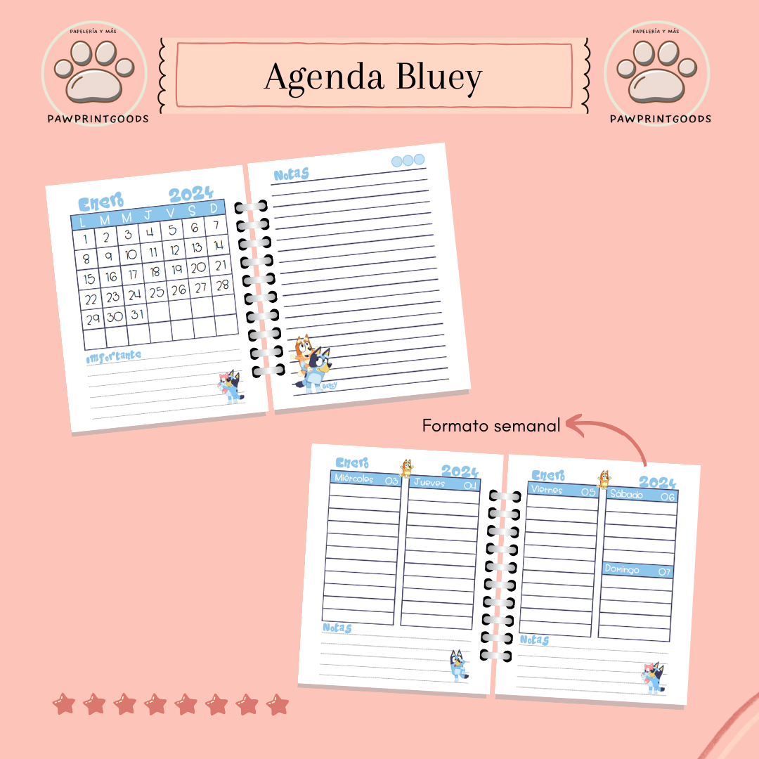 Agenda “Bluey” 2025