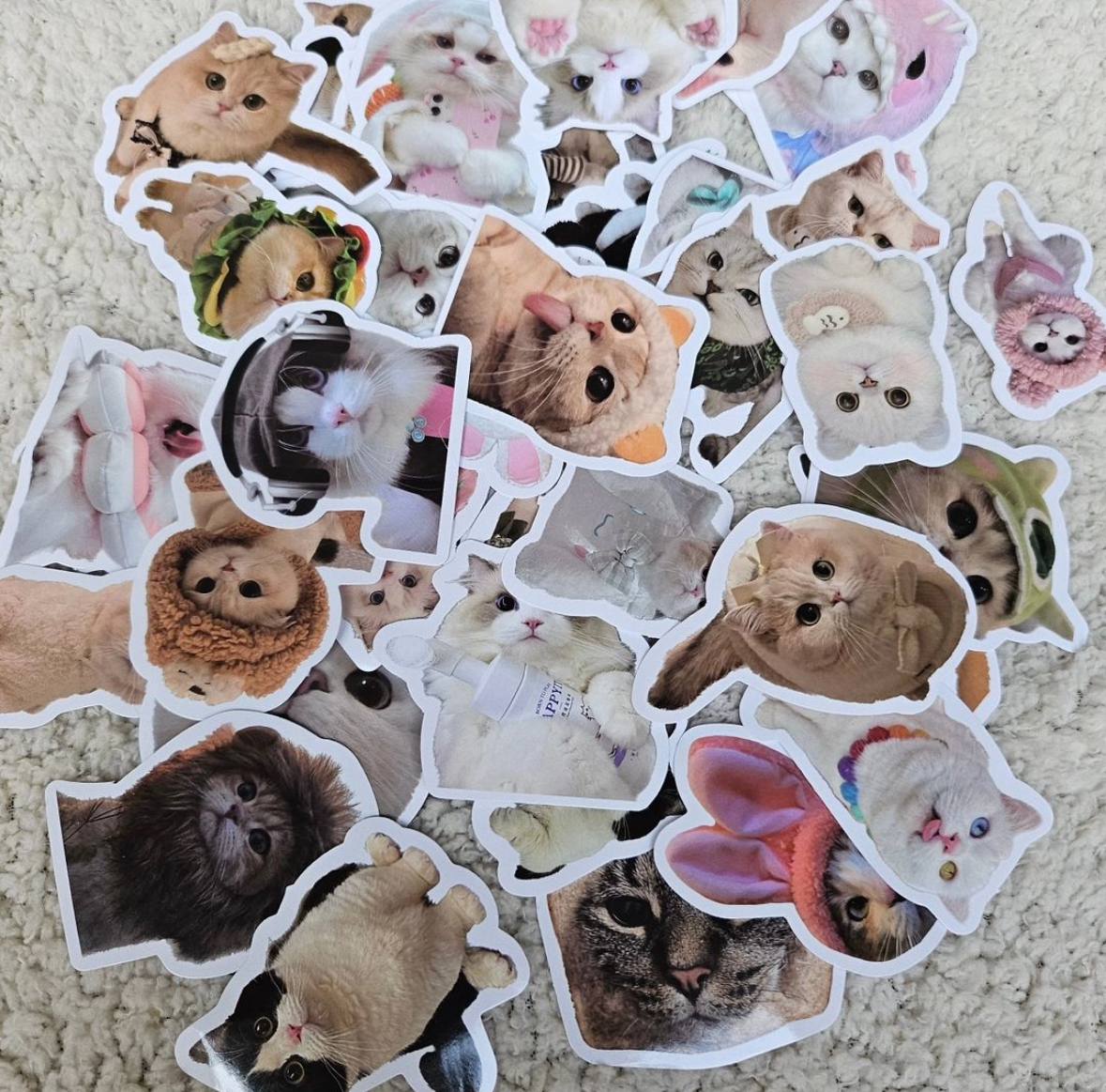 Stickers de perritos y gatitos