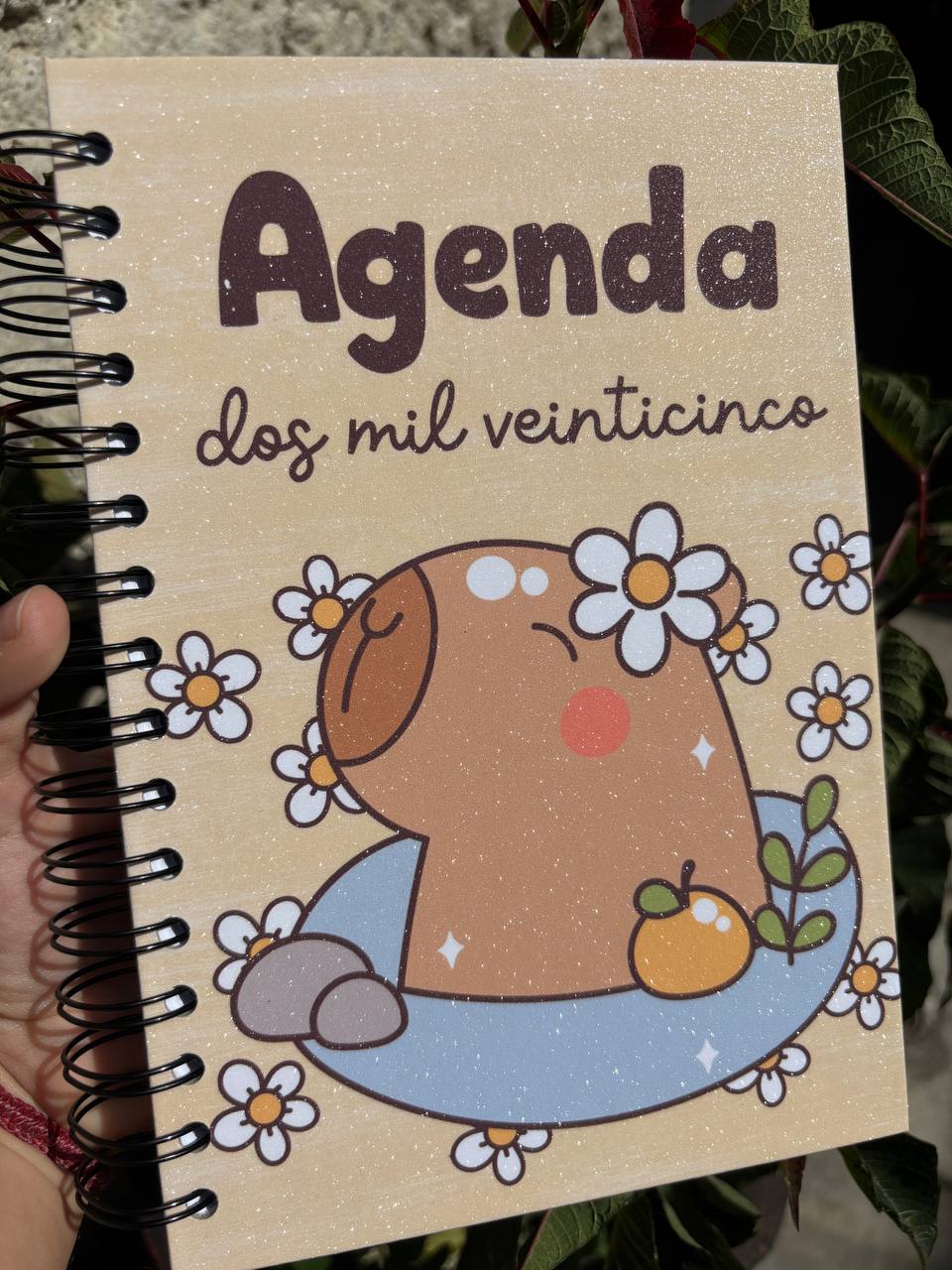 Agenda 2025 'Capibara'